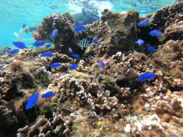 武藤潜水に投稿された画像（2023/1/30）