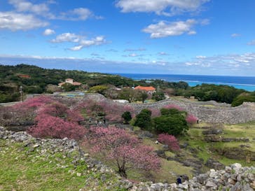 今帰仁城跡に投稿された画像（2023/1/30）