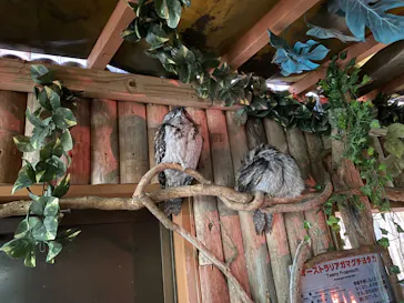 神戸どうぶつ王国に投稿された画像（2023/1/30）