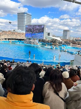 名古屋港水族館に投稿された画像（2023/1/30）