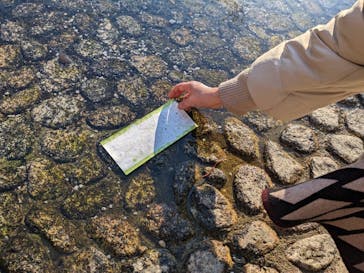 京阪電車に投稿された画像（2023/1/30）
