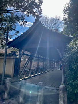 京阪電車に投稿された画像（2023/1/30）