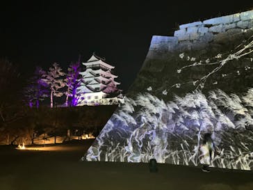 福山城400年博-FUKUYAMA CASTLE EXPO 2022- RCC開局70年 「チームラボ 福山城 光の祭」に投稿された画像（2023/1/30）