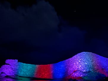 今帰仁城跡に投稿された画像（2023/1/30）