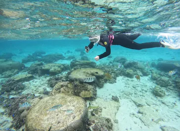 武藤潜水に投稿された画像（2023/1/30）