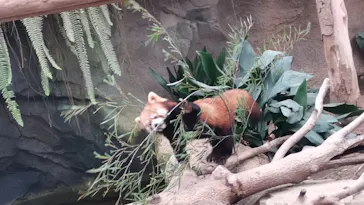 神戸どうぶつ王国に投稿された画像（2023/1/30）