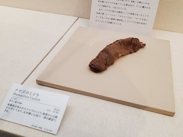 古代オリエント博物館に投稿された画像（2023/1/30）
