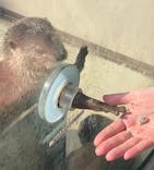 横浜・八景島シーパラダイスに投稿された画像（2023/1/30）