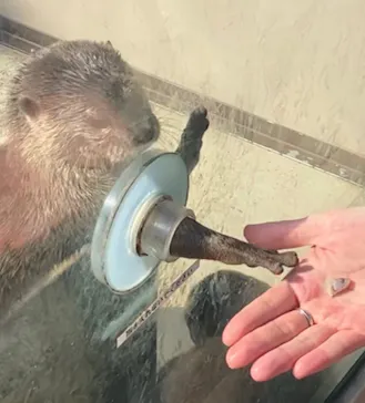 横浜・八景島シーパラダイスに投稿された画像（2023/1/30）