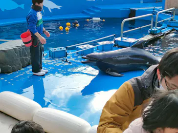 仙台うみの杜水族館に投稿された画像（2023/1/30）