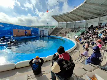 仙台うみの杜水族館に投稿された画像（2023/1/30）