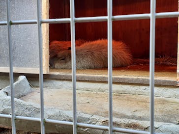 レオマリゾートに投稿された画像（2023/1/30）