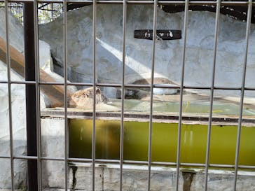 レオマリゾートに投稿された画像（2023/1/30）