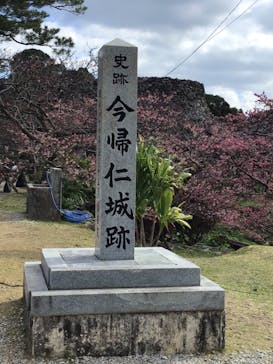 今帰仁城跡に投稿された画像（2023/1/30）