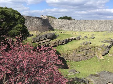 今帰仁城跡に投稿された画像（2023/1/30）