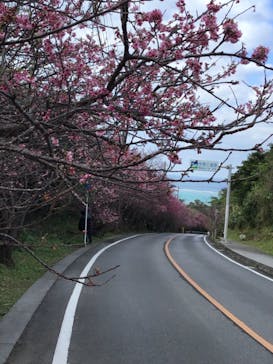 今帰仁城跡に投稿された画像（2023/1/30）