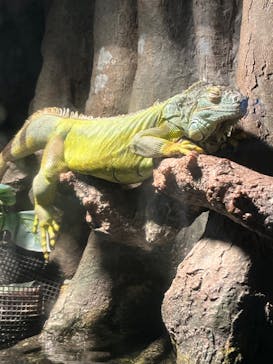 サンシャイン水族館に投稿された画像（2023/1/30）