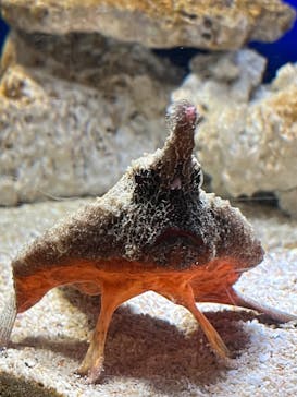 サンシャイン水族館に投稿された画像（2023/1/30）