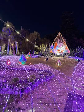 江の島シーキャンドルに投稿された画像（2023/1/30）