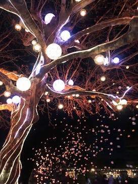 西武園ゆうえんちに投稿された画像（2023/1/30）