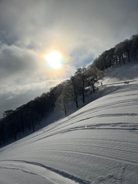 高鷲スノーパークに投稿された画像（2023/1/31）