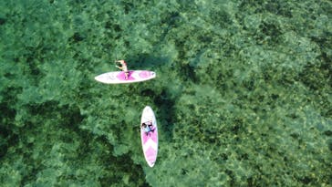 SUP SHOP 海楽 宮古島店に投稿された画像（2023/1/31）