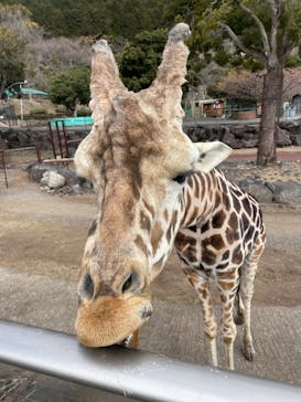 伊豆アニマルキングダムに投稿された画像（2023/1/31）