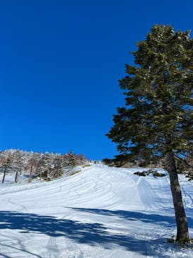 万座温泉スキー場に投稿された画像（2023/1/31）