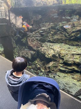 京都水族館に投稿された画像（2023/1/31）
