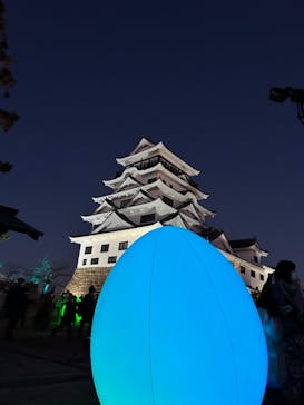 福山城400年博-FUKUYAMA CASTLE EXPO 2022- RCC開局70年 「チームラボ 福山城 光の祭」に投稿された画像（2023/1/31）