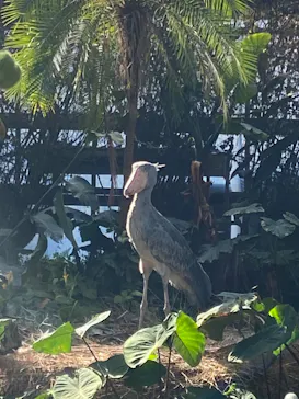 神戸どうぶつ王国に投稿された画像（2023/1/31）