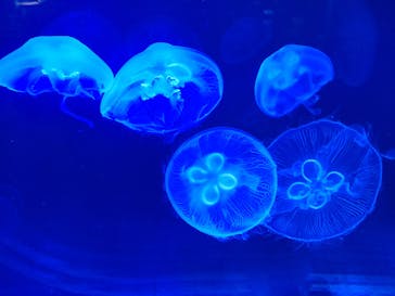 株式会社Gに投稿された画像（2023/1/31）