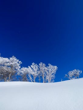 スキージャム勝山に投稿された画像（2023/1/31）