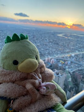 あべのハルカス美術館に投稿された画像（2023/1/31）