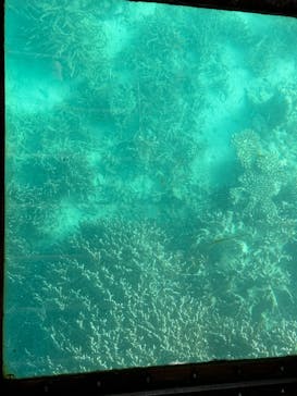 川平マリンサービスに投稿された画像（2023/1/31）