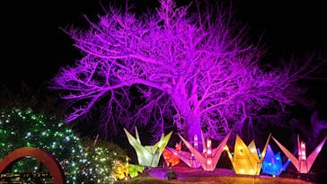 伊豆ぐらんぱる公園に投稿された画像（2023/1/31）