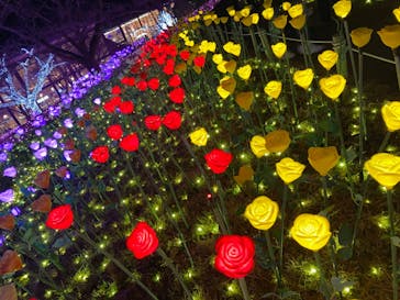 さがみ湖MORI MORIに投稿された画像（2023/1/31）