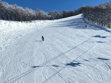 スキージャム勝山に投稿された画像（2023/1/31）