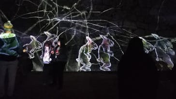 福山城400年博-FUKUYAMA CASTLE EXPO 2022- RCC開局70年 「チームラボ 福山城 光の祭」に投稿された画像（2023/1/31）