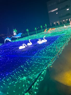 ドライブスルー堺イルミナージュに投稿された画像（2023/1/31）