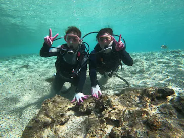 武藤潜水に投稿された画像（2023/1/31）