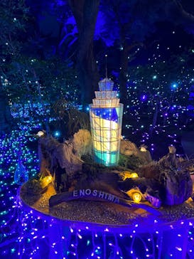 江の島シーキャンドルに投稿された画像（2023/1/31）