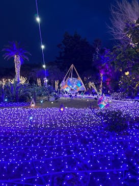 江の島シーキャンドルに投稿された画像（2023/1/31）