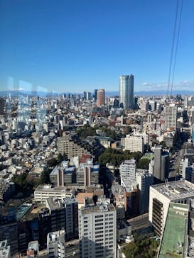 東京タワーに投稿された画像（2023/2/1）