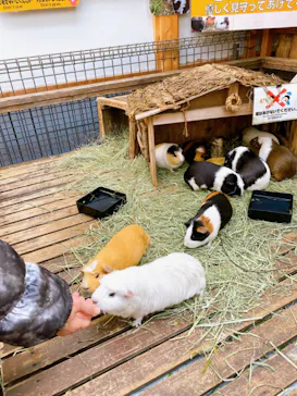 神戸どうぶつ王国に投稿された画像（2023/2/1）