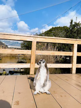 神戸どうぶつ王国に投稿された画像（2023/2/1）