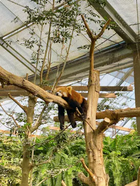 神戸どうぶつ王国に投稿された画像（2023/2/1）