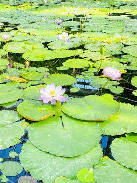 神戸どうぶつ王国に投稿された画像（2023/2/1）