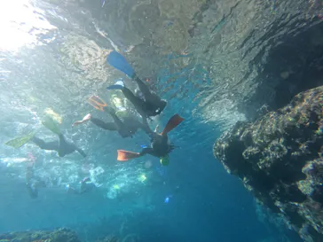 武藤潜水に投稿された画像（2023/2/1）