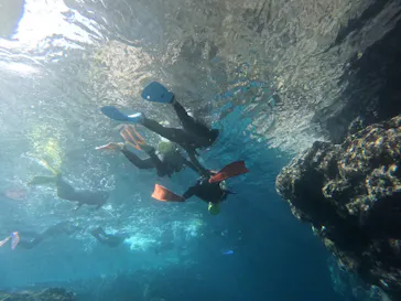 武藤潜水に投稿された画像（2023/2/1）